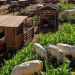 Feira agropecuária no Brasil com estandes, gado e produtos agrícolas, representando calendário de eventos de 2026.