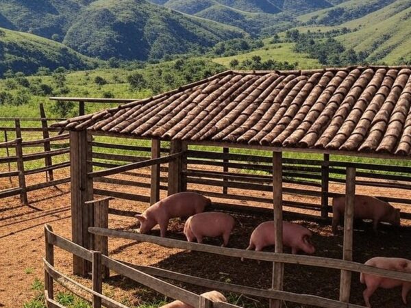 Paisagem rural da Serra da Canastra com fazenda e curral de porcos, representando tradição de mutirão para abate.