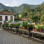 Barracas de comércio ambulante de mudas em rua de Minas Gerais, com plantas variadas e fundo montanhoso.