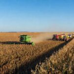 Lavouras de grãos no Brasil, destacando produção de soja e milho na safra 2023/24, superando Argentina em 155%.