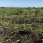 Campos do Mato Grosso do Sul sob tempo estável após temporais e granizo