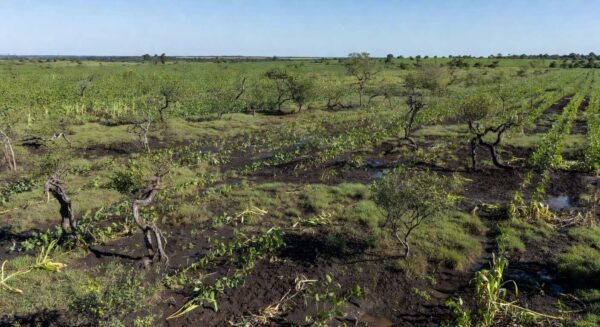 Campos do Mato Grosso do Sul sob tempo estável após temporais e granizo