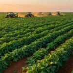 Lavouras de soja no Brasil com equipamentos agrícolas representando agronegócio