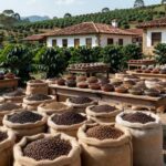 Expocafé 2026 em Varginha com sacos de café e plantação