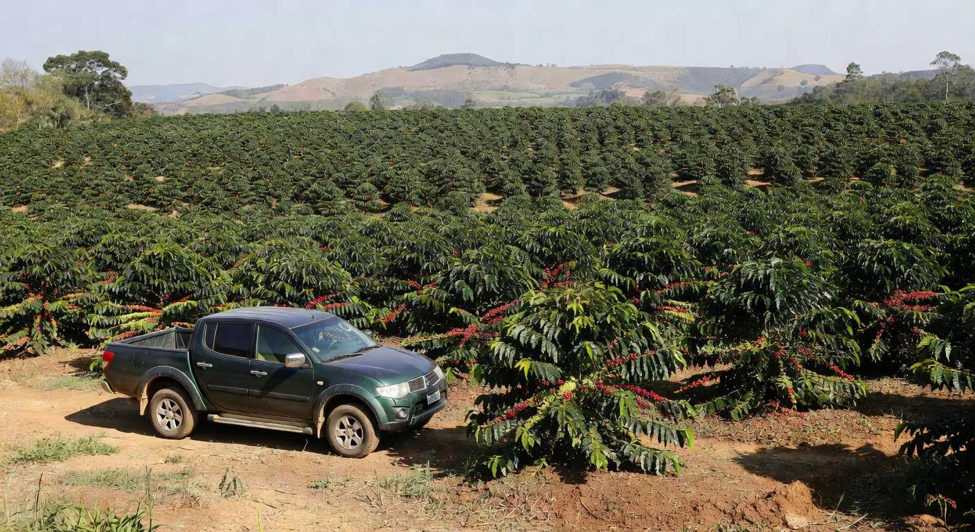 Picape Mitsubishi Triton em plantação de café brasileira na ExpoCafé