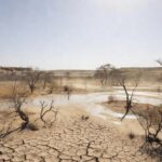 Paisagem árida no Nordeste do Brasil representando aquecimento global previsto pela OMM