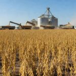 Plantação e silos de soja em porto brasileiro com alta de preços