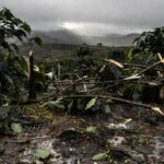 Chuva de granizo atingiu cafezais no município de Campo do Meio, no Sul de Minas Gerais (Foto: Reprodução/Redes sociais).