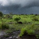 Paisagem do cerrado com chuva de frente fria no Centro-Oeste do Brasil