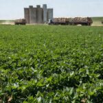 Plantação de soja no Brasil com silos e farelo de soja