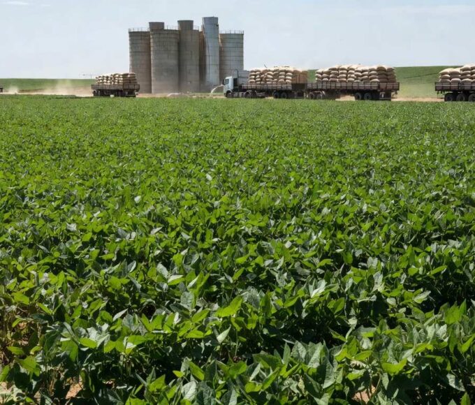 Plantação de soja no Brasil com silos e farelo de soja