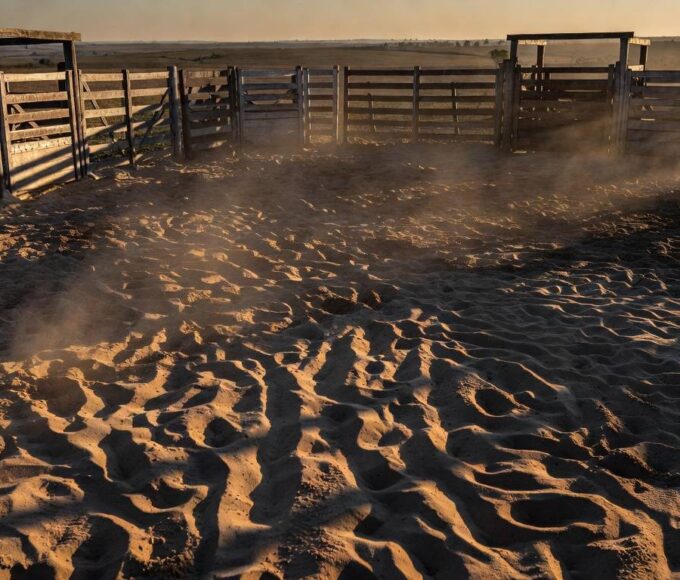 Silvano Alves. Foto: PBR