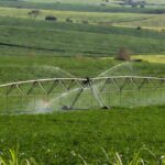 Pivô central em lavoura agrícola no Brasil, investimento de produtores rurais