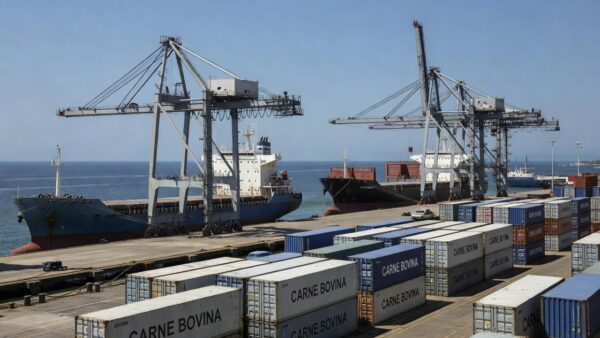Porto brasileiro com navios para exportação de carne bovina