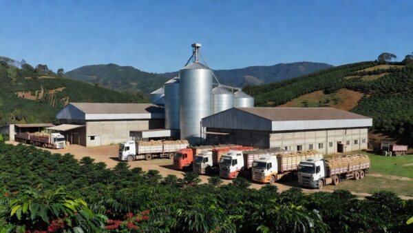 Instalações de cooperativas agrícolas em Minas Gerais com plantações e silos
