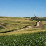 Área rural no Rio Grande do Sul com plantações representando dívidas rurais