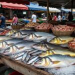 O filé de tilápia do Vietnã começou a entrar no Brasil no ano passado e gerou forte impacto no setor produtivo nacional — Foto: Divulgação