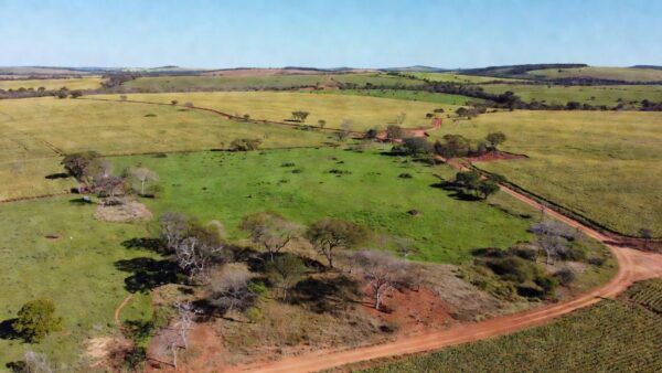 Imagem gerada por IA