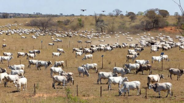 Novas tecnologias reduzem erros e desperdício no agro no interior de SP — Foto: Reprodução/TV TEM