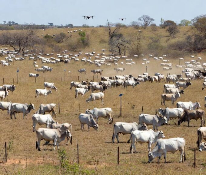 Novas tecnologias reduzem erros e desperdício no agro no interior de SP — Foto: Reprodução/TV TEM