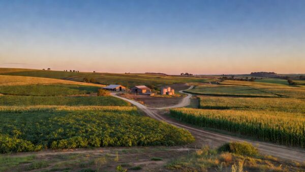 Foto: Compre Rural/IA