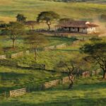 Foto: @fazenda_conforto