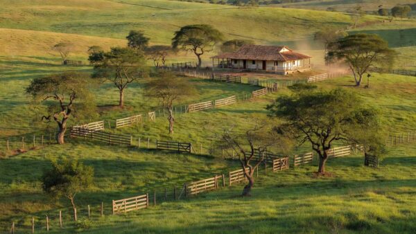 Foto: @fazenda_conforto