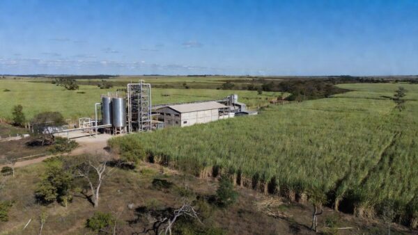 Planta da FS no Mato Grosso (Divulgação) Este é um trecho original publicado em Exame.com. Leia a matéria completa em https://exame.com/agro/amaggi-compra-40-da-es-gigante-do-etanol-de-milho/?utm_source=copiaecola&utm_medium=compartilhamento