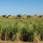 Lançamento reuniu algumas das mais importantes lideranças do agronegócio brasileiro | Créditos: Rafael Cautella