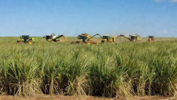 Lançamento reuniu algumas das mais importantes lideranças do agronegócio brasileiro | Créditos: Rafael Cautella