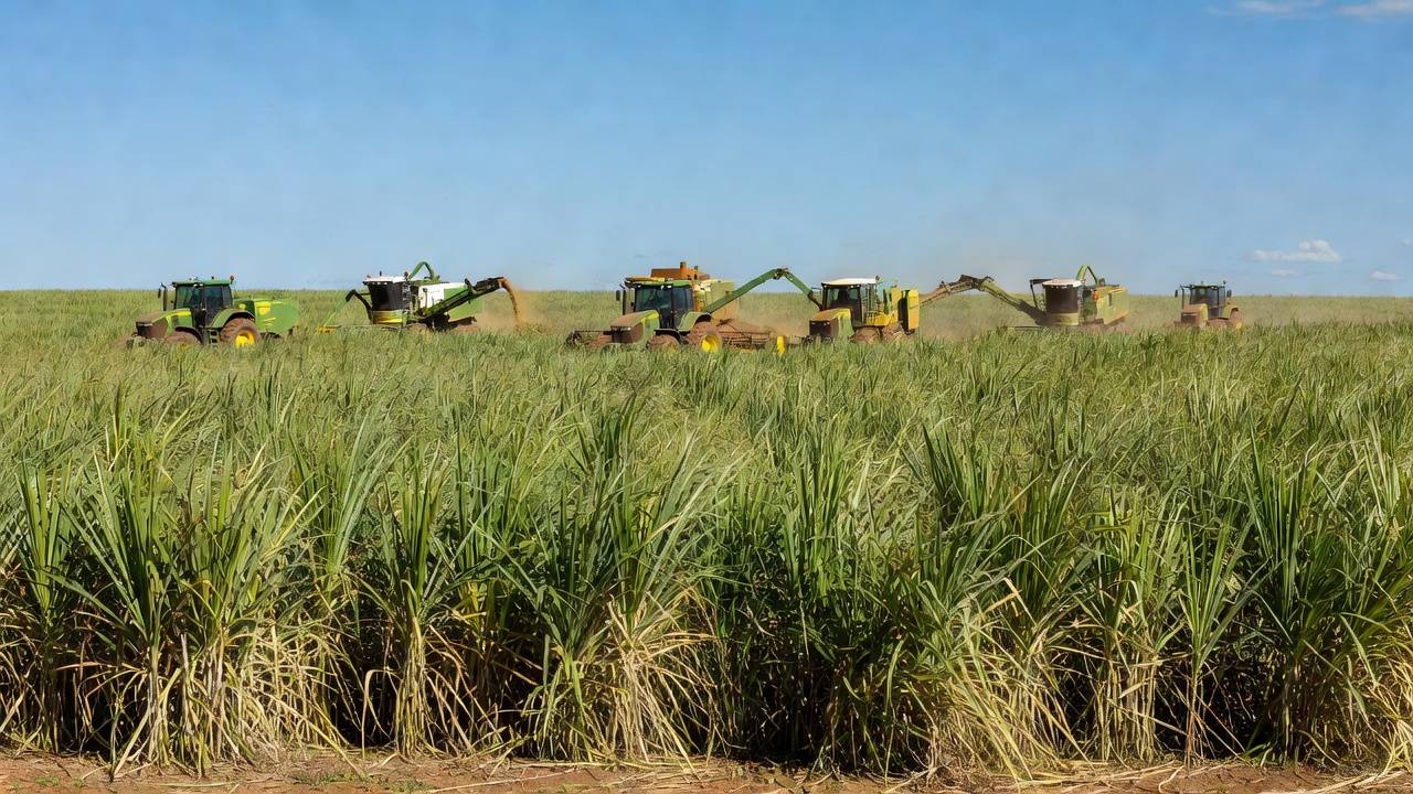 Lançamento reuniu algumas das mais importantes lideranças do agronegócio brasileiro | Créditos: Rafael Cautella