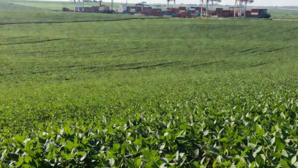Foto: CropLife