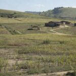 Jovens desafiam êxodo rural e assumem negócios da família no interior de SP — Foto: TV TEM/Reprodução