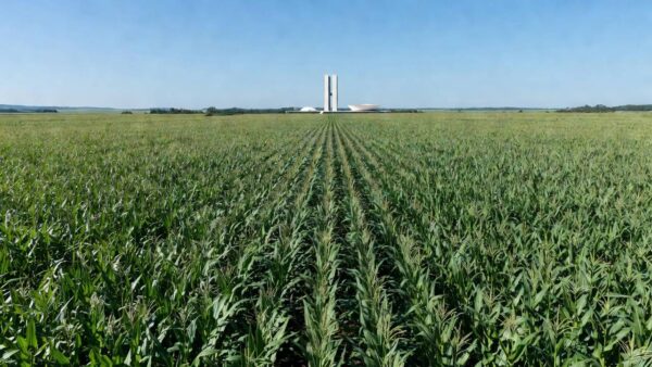 Plantação de milho no Brasil com Congresso Nacional ao fundo, agronegócio e MAIZAR 2026