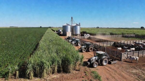 Fazenda brasileira com soja, cana e tecnologia representando proteína animal e biocombustíveis.