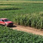 Picape Mitsubishi em lavoura de soja e milho no Brasil