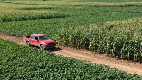 Picape Mitsubishi em lavoura de soja e milho no Brasil