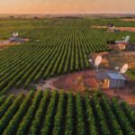 Antenas Starlink em lavoura de soja no agronegócio baiano