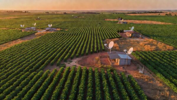Antenas Starlink em lavoura de soja no agronegócio baiano