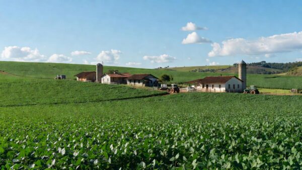 Iniciativas estaduais impulsionam produção, feiras e inclusão produtiva, além de ampliar o alcance no meio rural - Foto: Gabriela Nataly/Ascom SDR