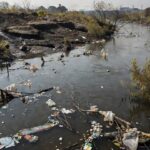 Pesquisadoras e pesquisadores coletaram amostras da água em 14 pontos do rio. — Foto: SOS Mata Atlântica