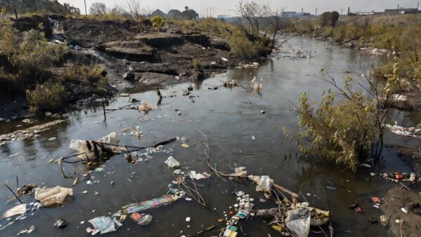 Pesquisadoras e pesquisadores coletaram amostras da água em 14 pontos do rio. — Foto: SOS Mata Atlântica