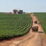 Foto: Claudio Neves/Portos do Paraná