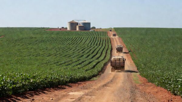 Foto: Claudio Neves/Portos do Paraná