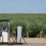Posto de gasolina no Brasil com bombas de combustível e plantação de cana-de-açúcar