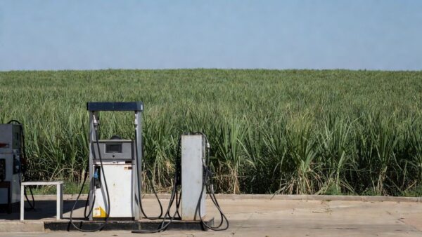 Posto de gasolina no Brasil com bombas de combustível e plantação de cana-de-açúcar