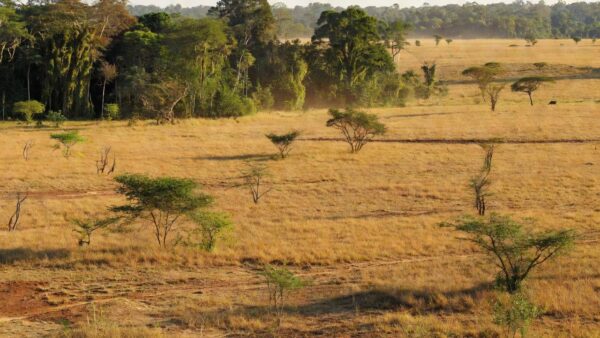 Fazenda de dez mil hectares no Pará, paisagem amazônica