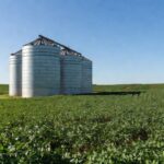 Silos de grãos e plantação de soja em Goiás, Grupo Cereal