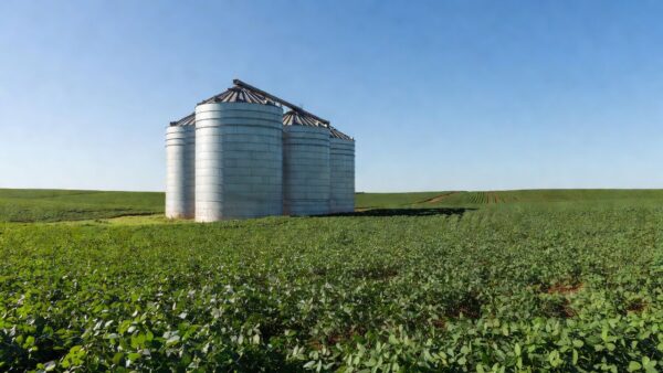 Silos de grãos e plantação de soja em Goiás, Grupo Cereal