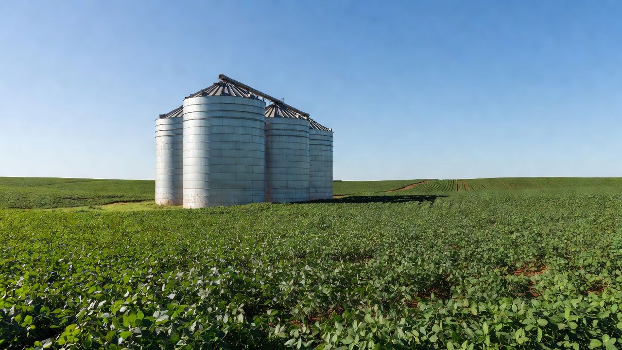 Silos de grãos e plantação de soja em Goiás, Grupo Cereal